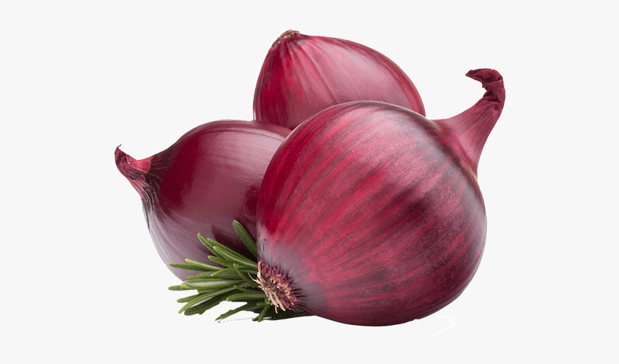 Onion (प्याज)